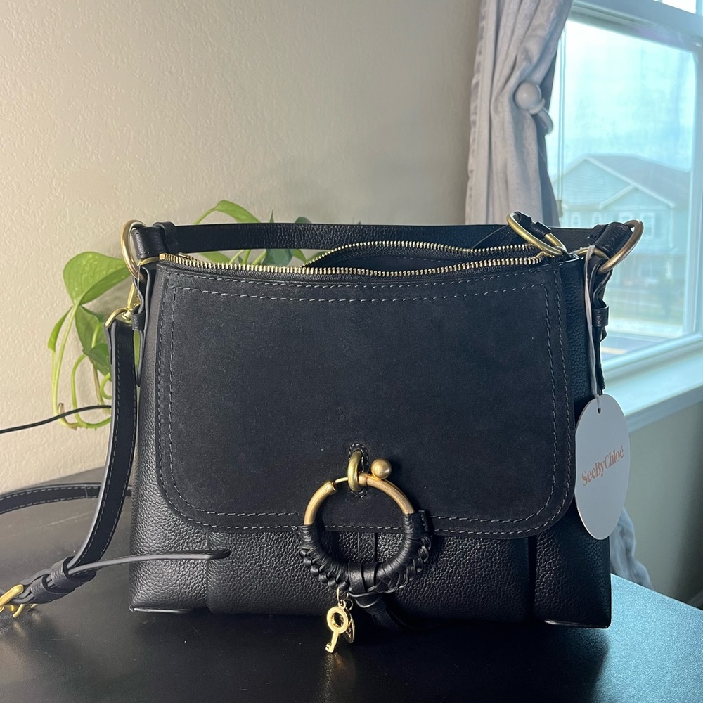 See by Chloe back large bag